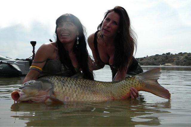 crapi - 237373142640.jpg